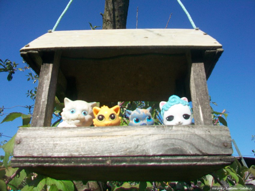 Сентябрьские поездки на дачу - 1