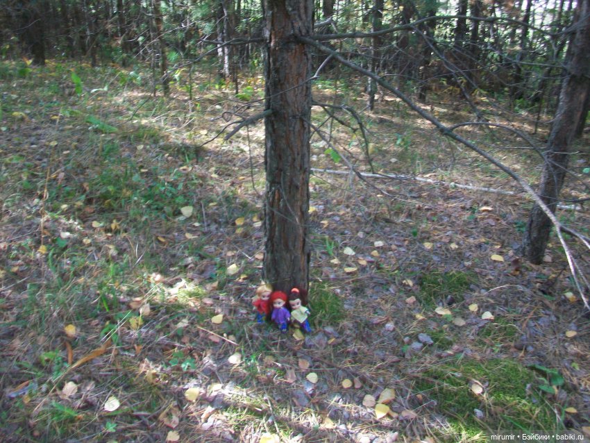 Сентябрьские поездки на дачу - 1