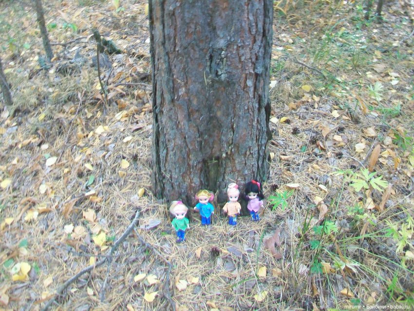 Сентябрьские поездки на дачу - 1