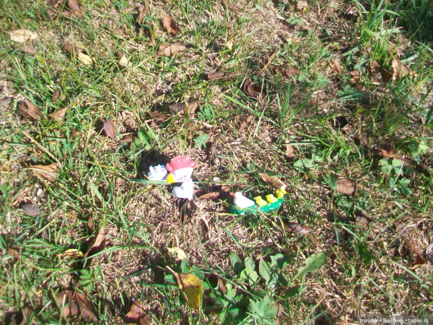 Сентябрьские поездки на дачу - 1