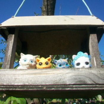 Сентябрьские поездки на дачу - 1