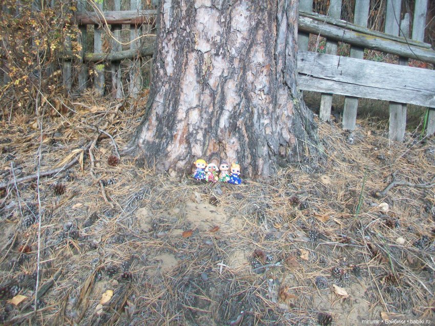 Сентябрьские поездки на дачу - 2