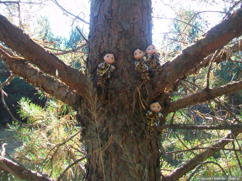 Сентябрьские поездки на дачу - 2