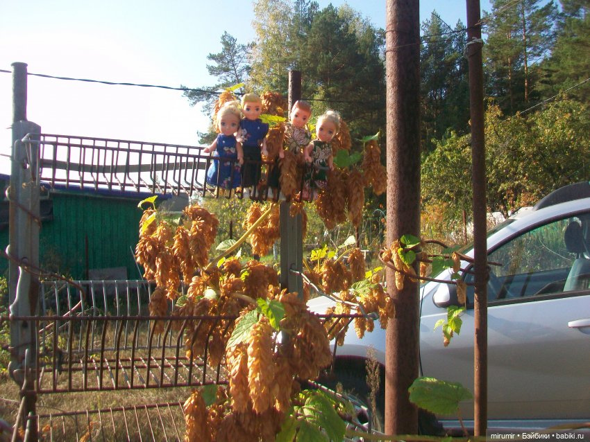 Сентябрьские поездки на дачу - 2