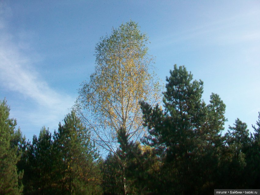 Сентябрьские поездки на дачу - 2