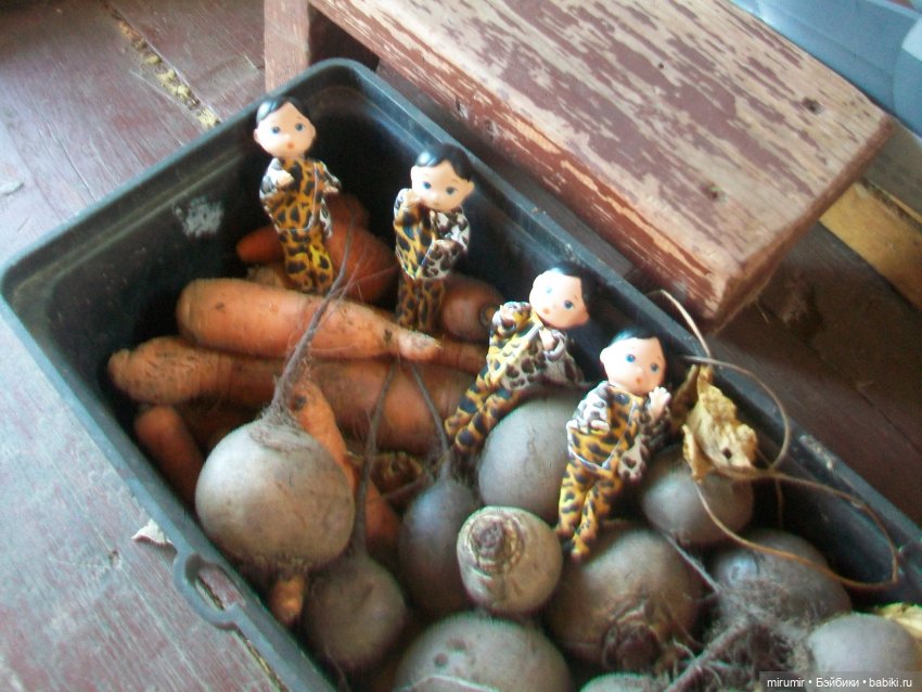 Сентябрьские поездки на дачу - 2