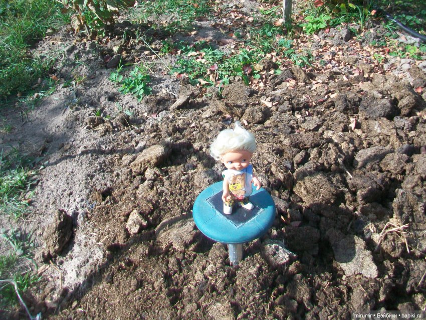 Сентябрьские поездки на дачу - 2