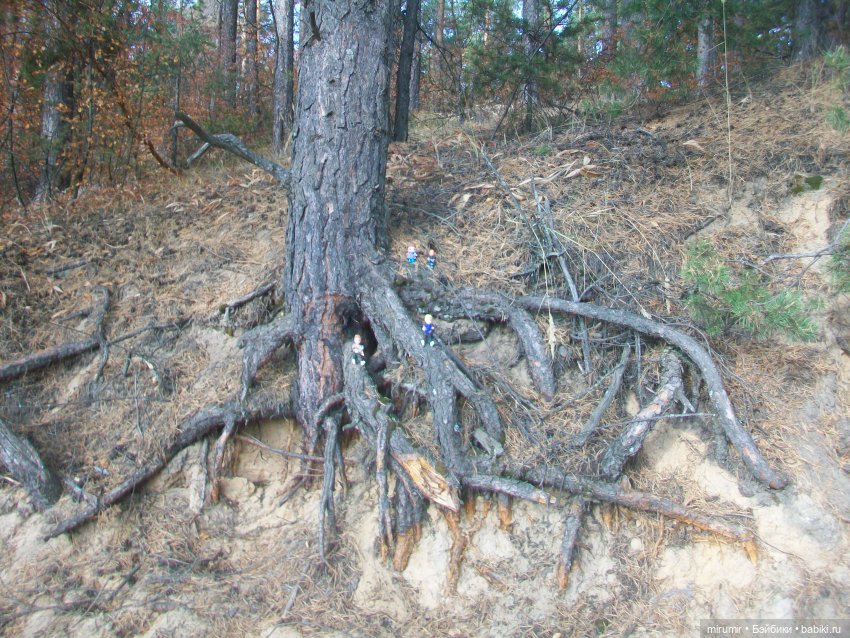 Сентябрьские поездки на дачу - 2 (фото 2)