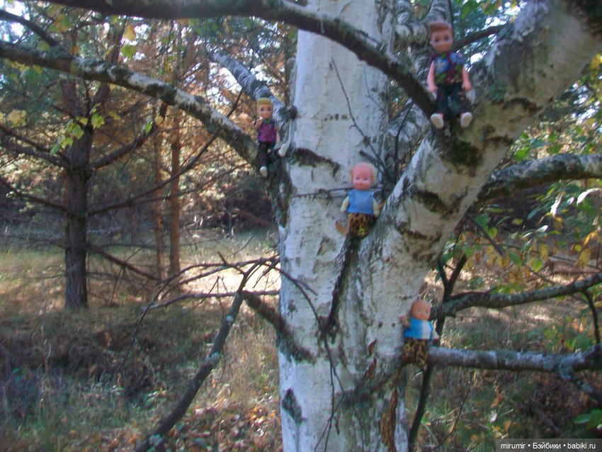 Сентябрьские поездки на дачу - 2
