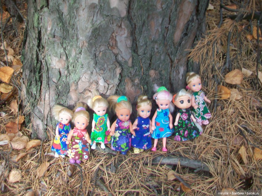 Сентябрьские поездки на дачу - 2 (фото 5)