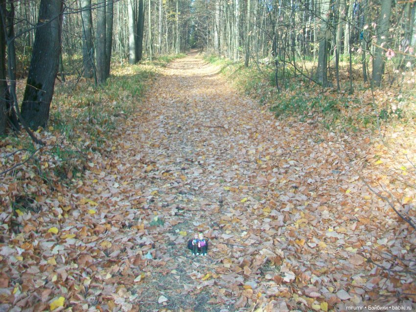 Сентябрьские поездки на дачу - 2