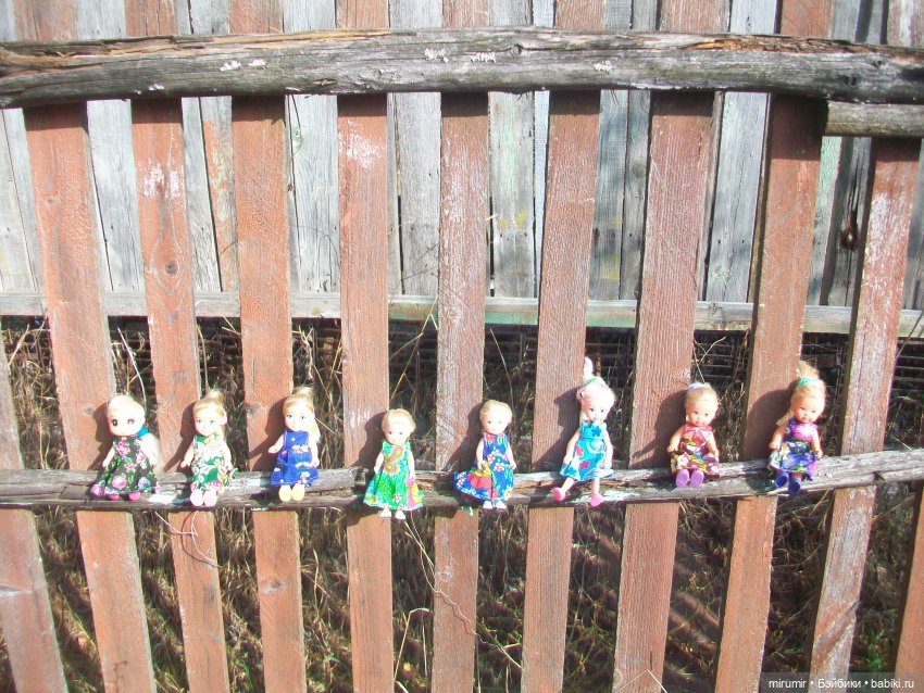 Сентябрьские поездки на дачу - 2