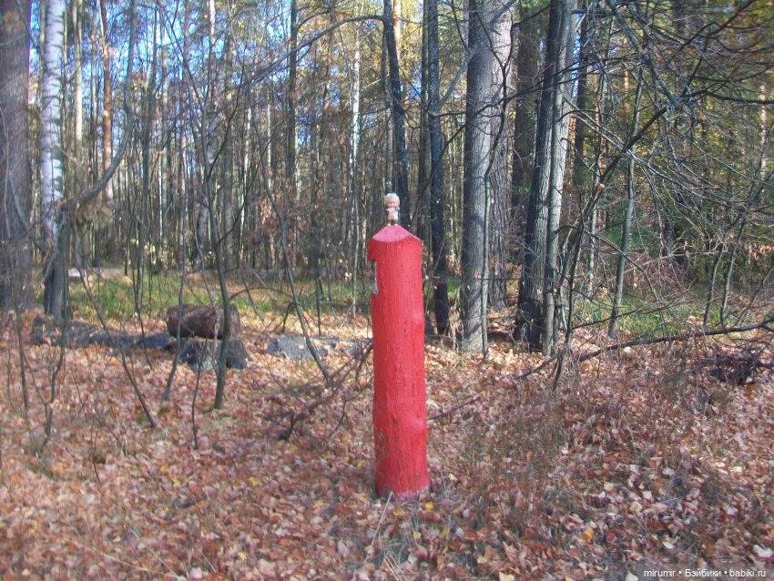 Сентябрьские поездки на дачу - 2