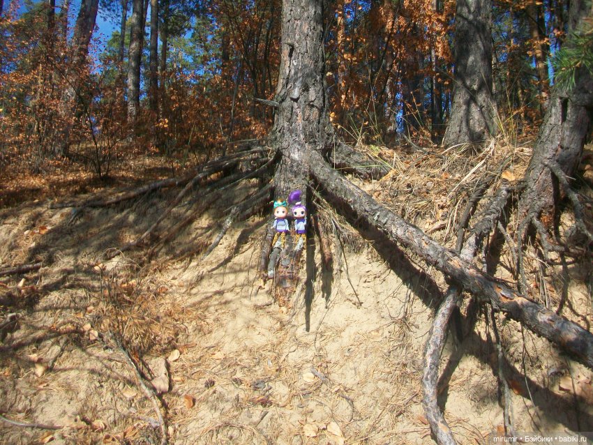 Сентябрьские поездки на дачу - 2 (фото 8)