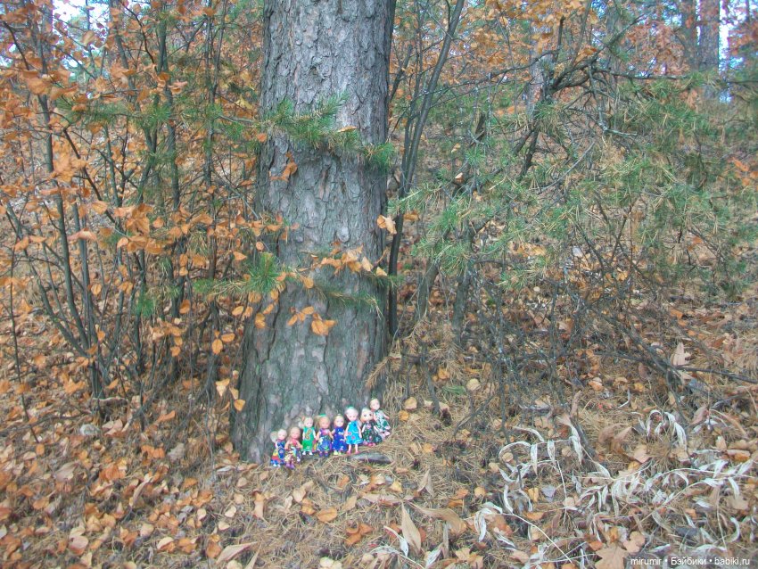 Сентябрьские поездки на дачу - 2 (фото 4)