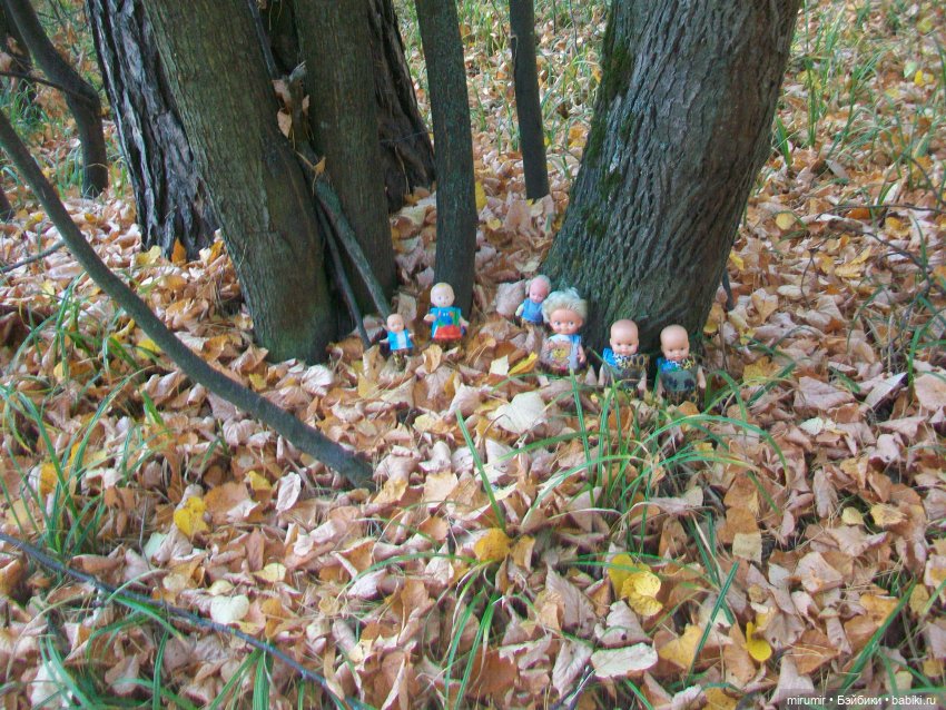 Сентябрьские поездки на дачу - 2