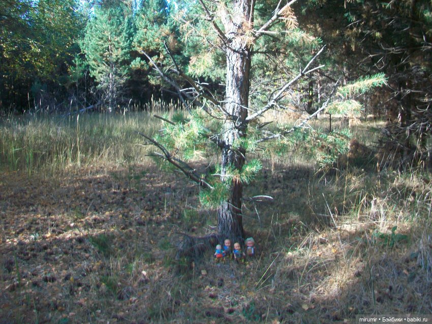 Сентябрьские поездки на дачу - 2