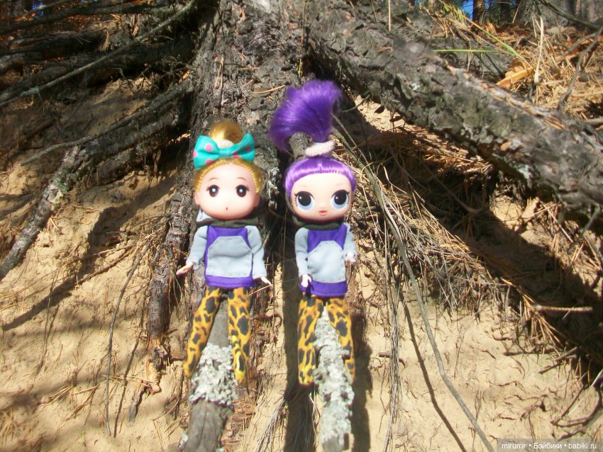 Сентябрьские поездки на дачу - 2 (фото 9)