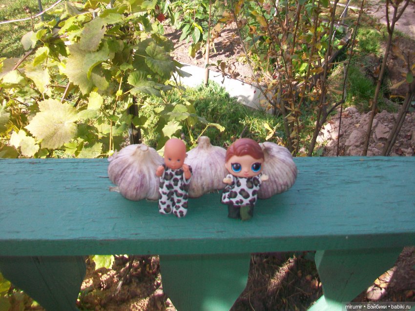 Сентябрьские поездки на дачу - 2