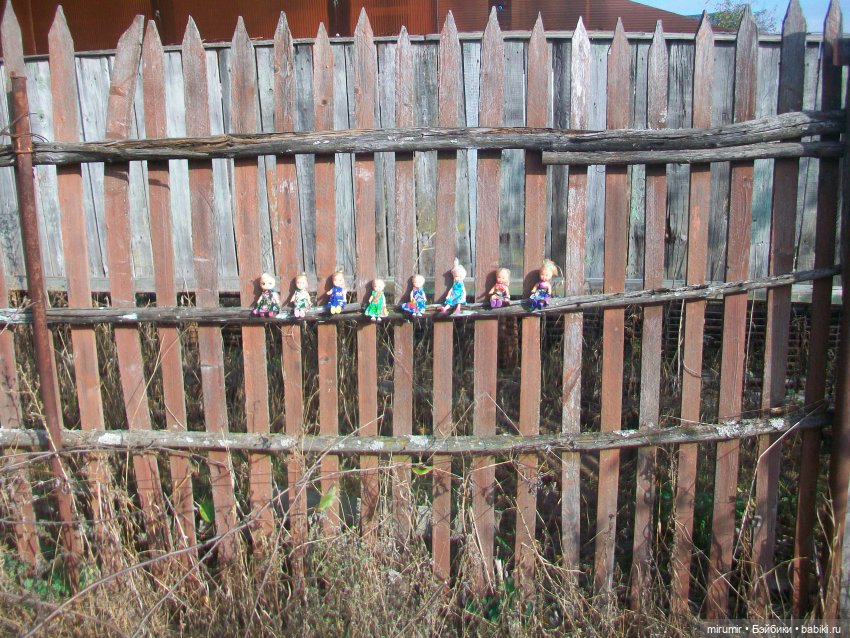 Сентябрьские поездки на дачу - 2