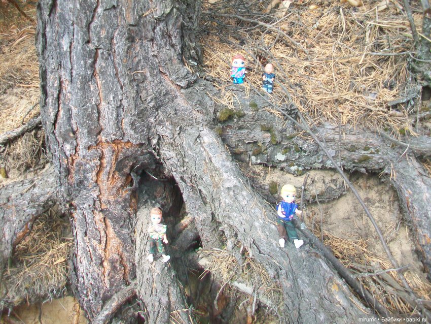 Сентябрьские поездки на дачу - 2 (фото 3)