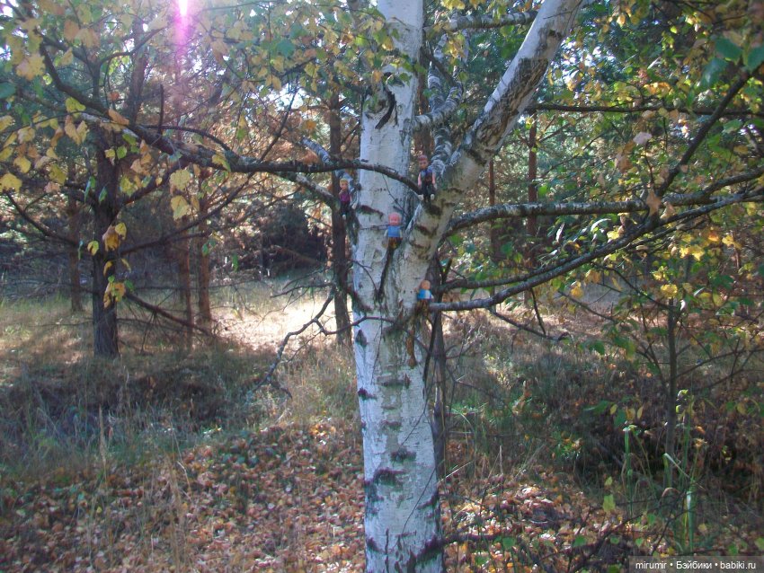 Сентябрьские поездки на дачу - 2