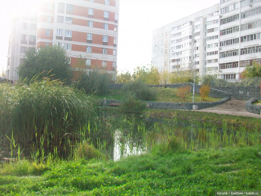 Октябрьская прогулка на озеро (фото 7)