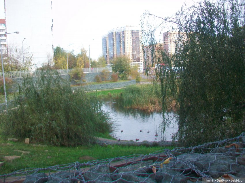 Октябрьская прогулка на озеро