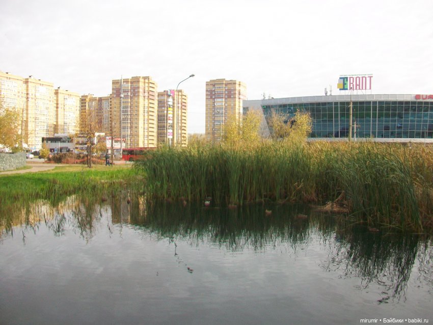 Октябрьская прогулка на озеро (фото 4)