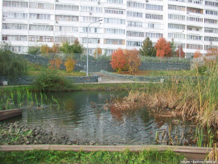 Октябрьская прогулка на озеро