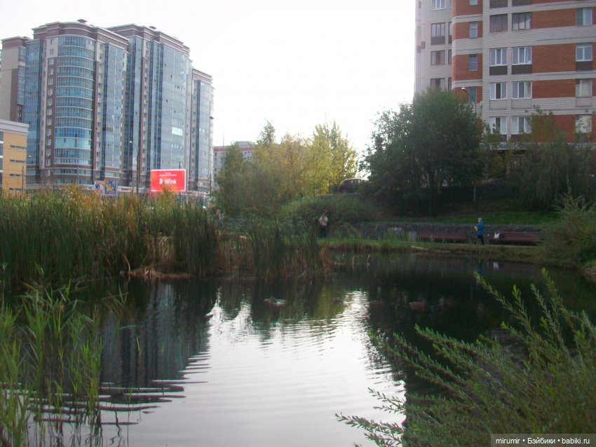 Октябрьская прогулка на озеро (фото 6)