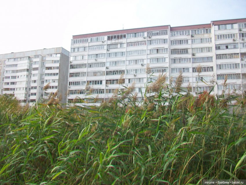 Октябрьская прогулка на озеро (фото 10)