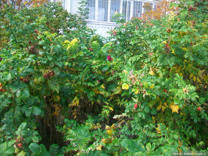 Октябрьская прогулка на озеро