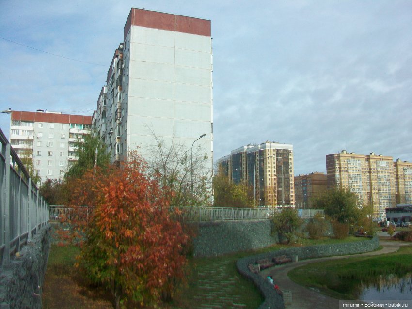 Октябрьская прогулка на озеро (фото 3)