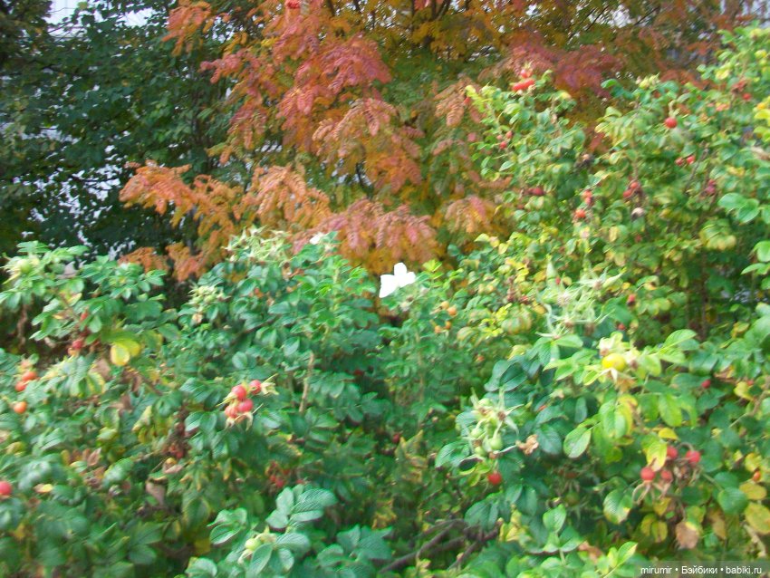 Октябрьская прогулка на озеро