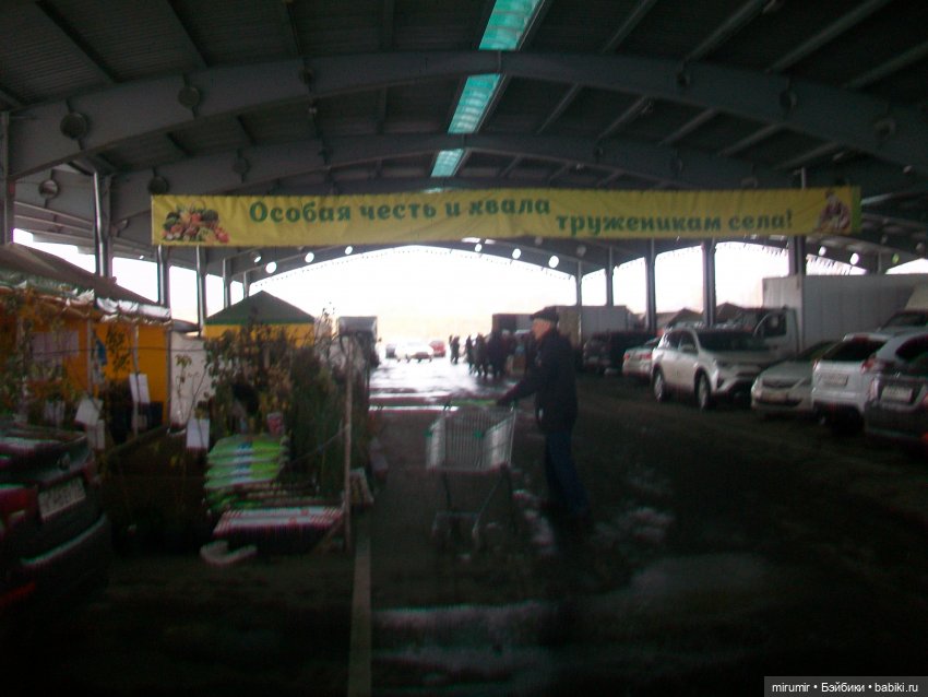 Едем на ярмарку — Игровые куклы разных производителей (Разное): редкие бренды (фото 2)