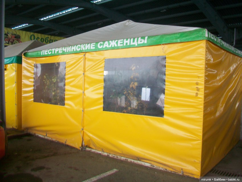 Едем на ярмарку — Игровые куклы разных производителей (Разное): редкие бренды