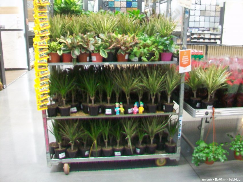 Как мы ходили в OBI — Игровые куклы разных производителей (Разное): редкие бренды