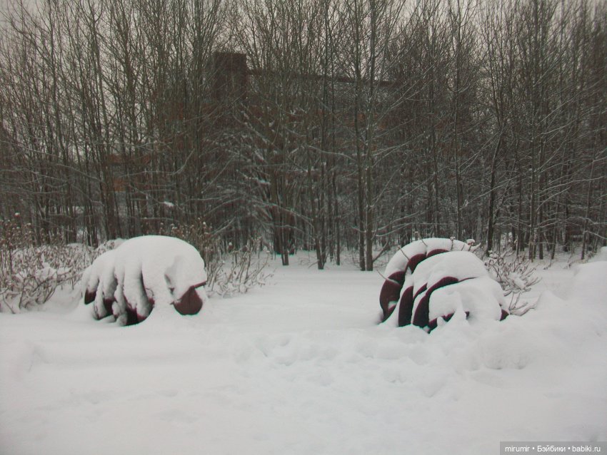 Январские прогулки - 1 — Игровые куклы разных производителей (Разное): редкие бренды (фото 7)