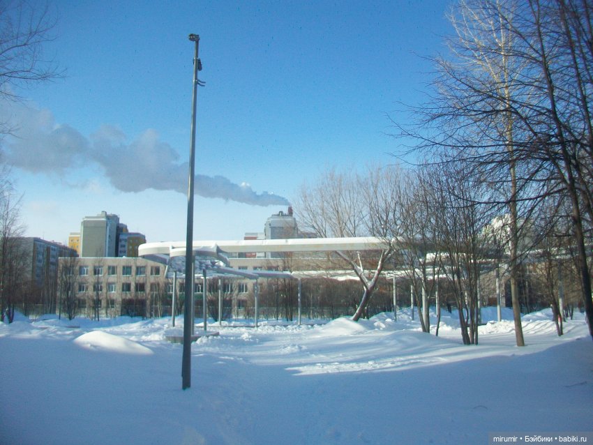 Январские прогулки - 1 — Игровые куклы разных производителей (Разное): редкие бренды