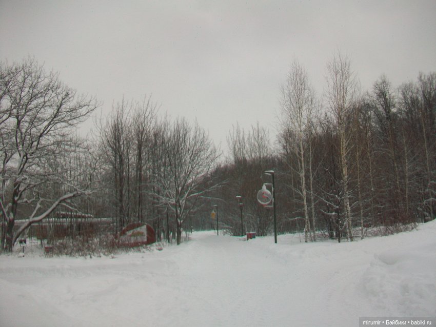 Январские прогулки - 1 — Игровые куклы разных производителей (Разное): редкие бренды