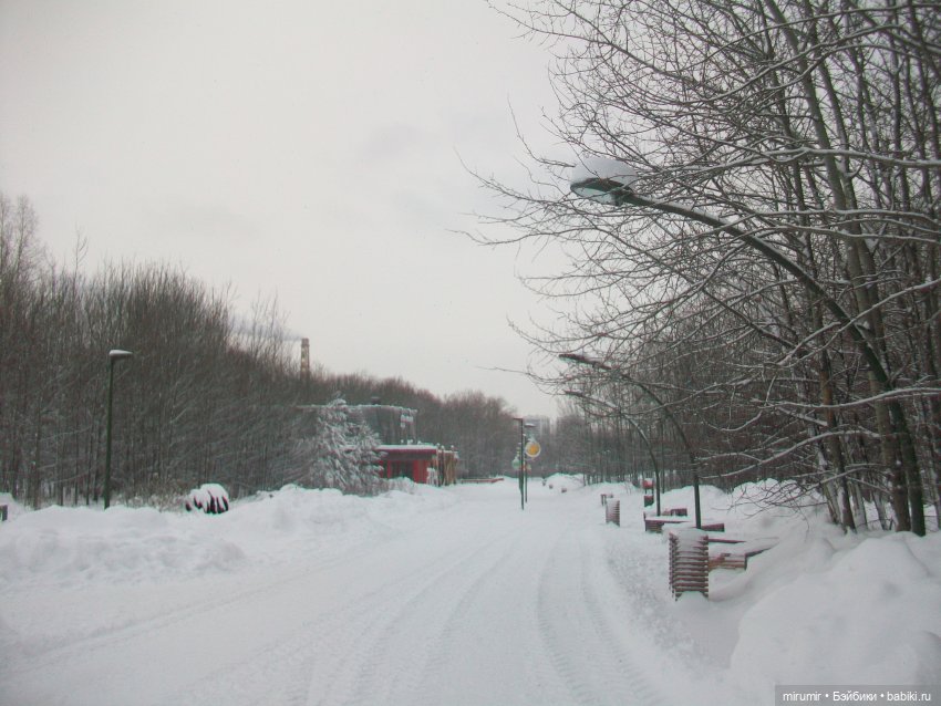 Январские прогулки - 1 — Игровые куклы разных производителей (Разное): редкие бренды (фото 6)