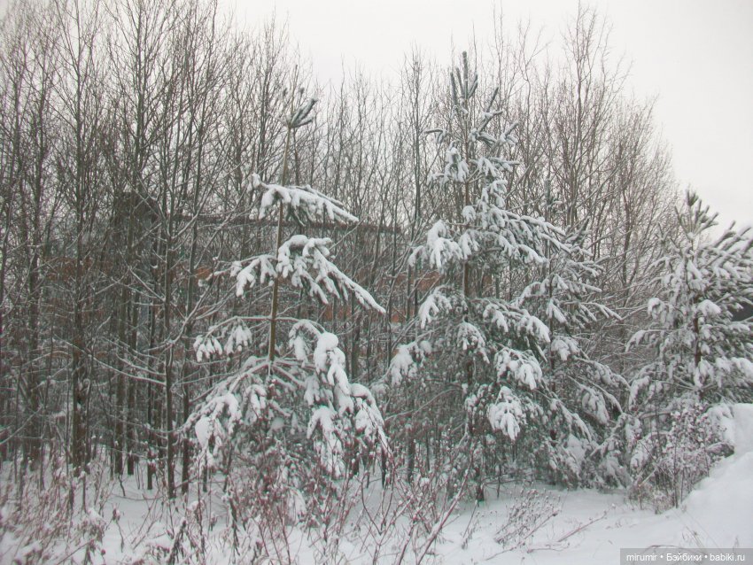 Январские прогулки - 1 — Игровые куклы разных производителей (Разное): редкие бренды (фото 8)