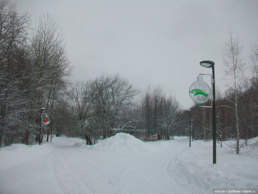 Январские прогулки - 1 — Игровые куклы разных производителей (Разное): редкие бренды