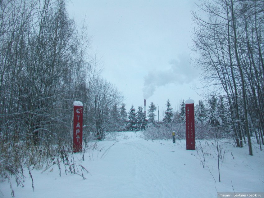 Январские прогулки - 1 — Игровые куклы разных производителей (Разное): редкие бренды (фото 9)