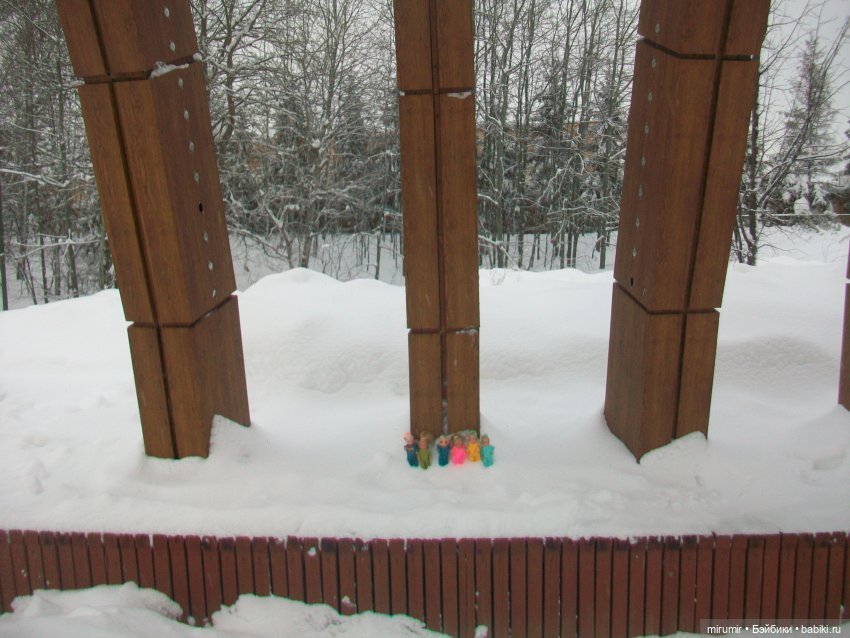 Январские прогулки - 1 — Игровые куклы разных производителей (Разное): редкие бренды (фото 3)