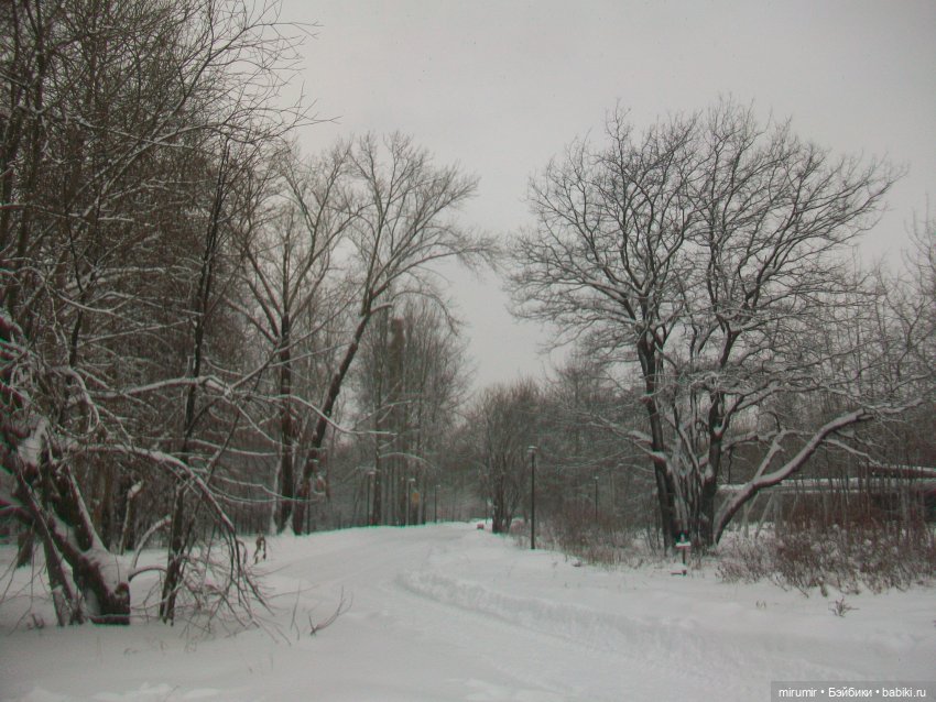 Январские прогулки - 1 — Игровые куклы разных производителей (Разное): редкие бренды