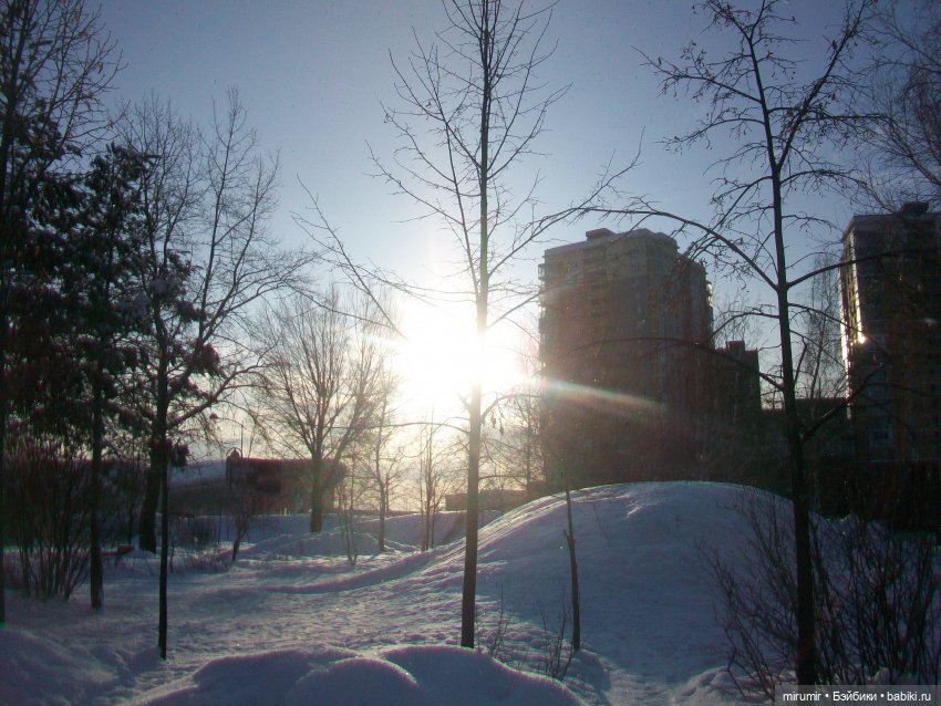 Январские прогулки - 2 — Игровые куклы разных производителей (Разное): редкие бренды