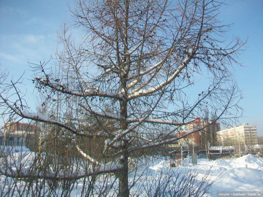 Январские прогулки - 2 — Игровые куклы разных производителей (Разное): редкие бренды