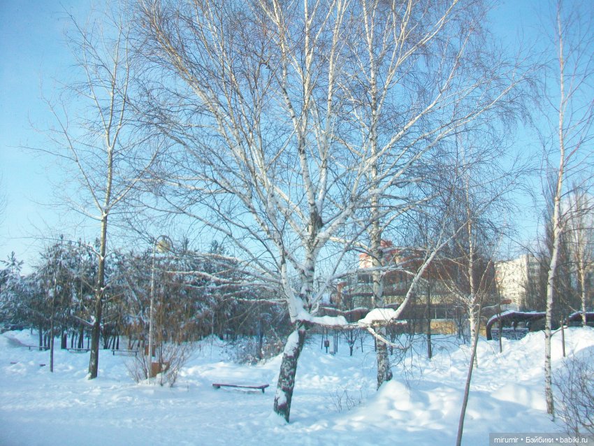 Январские прогулки - 2 — Игровые куклы разных производителей (Разное): редкие бренды